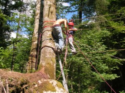 Camp Jaun 2008_20080724_082936