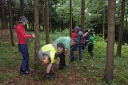 Camp Hochwald 20170724 094644