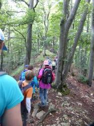 Camp Hochwald 20170726 162548167