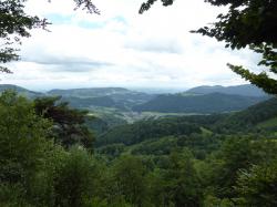 Camp Hochwald 20170726 162856170