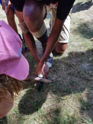 Camp Albeuve 2020-08-13 142826