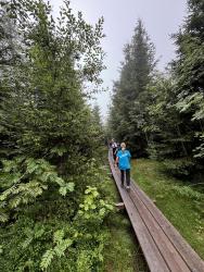 Camp 20240808 080401180 iOS