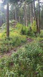 Camp 20240808 113755