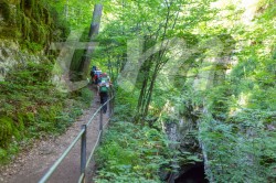 Scouts_camp20140102