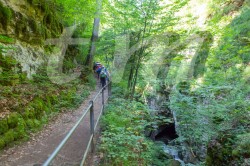 Scouts_camp20140103