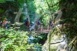 Scouts_camp20140106