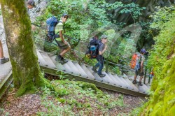 Scouts_camp20140187