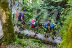 Scouts_camp20140189