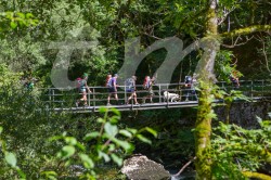 Scouts_camp20140219