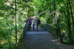 Scouts_camp20140229