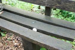 Jeux de la Moliere 2024-06-15 10-23-24
