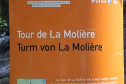 Jeux Moliere 2020-06-13 025417