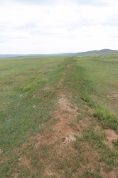 Mongolie 20160717 045619090 