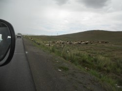 Mongolie 20160717 072844018 