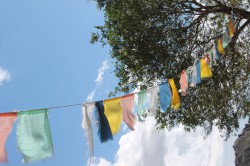 Mongolie 20160717 105027150 