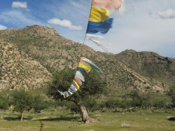 Mongolie 20160717 105948037 