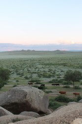 Mongolie 20160717 144403188