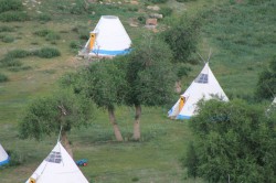 Mongolie 20160717 233049280 