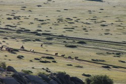 Mongolie 20160718 001315310 