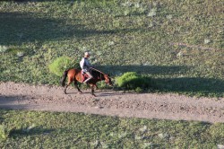 Mongolie 20160718 001755323 