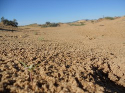 Mongolie 20160718 022908046 