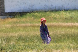 Mongolie 20160718 055704362 