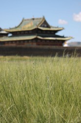 Mongolie 20160718 060011372 