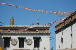 Mongolie 20160718 060357374 