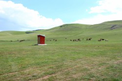 Mongolie 20160718 101020165 