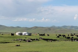 Mongolie 20160718 115646389   