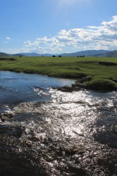 Mongolie 20160718 120107403   