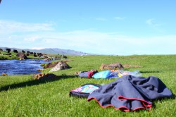 Mongolie 20160718 121640186   