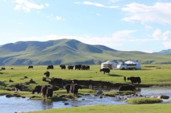 Mongolie 20160718 122120407   