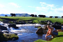 Mongolie 20160718 123937190  