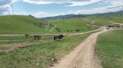 Mongolie 20160718 172424043  