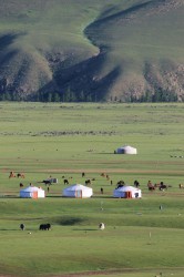 Mongolie 20160719 004928444 