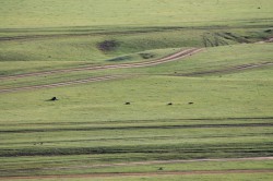 Mongolie 20160719 005007446 