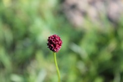 Mongolie 20160719 005904453 