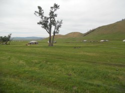 Mongolie 20160719 105357009 