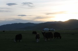 Mongolie 20160719 142405073 