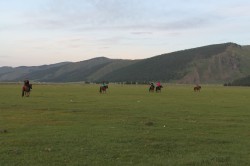 Mongolie 20160719 143055083 