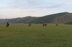 Mongolie 20160719 143055083 