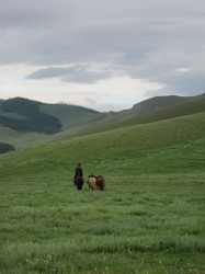 Mongolie 20160721 021110053 