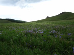 Mongolie 20160721 024126077 