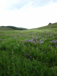 Mongolie 20160721 024144079 