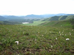 Mongolie 20160721 030604099 