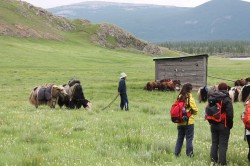 Mongolie 20160721 042040176 