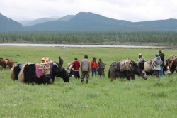 Mongolie 20160721 042102177 