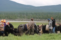 Mongolie 20160721 042136178 