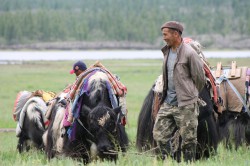 Mongolie 20160721 042229184 